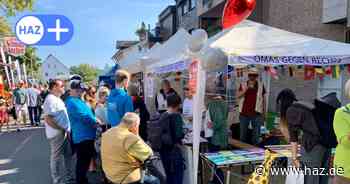 Streit auf Herbstmarkt: AfD bedrängt politische Stände in Hannover