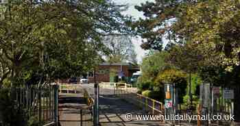 Two Hull primary schools could soon merge