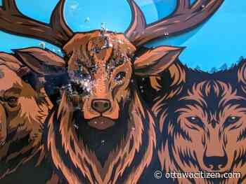 OPP seeks vandals who used chainsaw, shotgun in attacks on Calabogie business