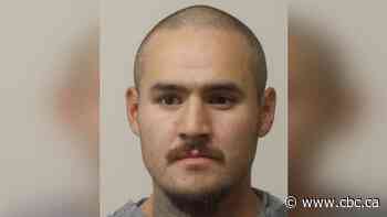 Man dies following Sask. RCMP chase that ended with shots fired in a field