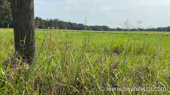 Zephyrhills and Pasco County seeing 'business boom' thanks to new Ready Sites program