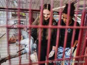 TPS is hoping voters pass a levy and a bond issue this November