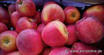 Schneewittchen-Äpfel: Obst soll laut BUND mit gefährlichen Pestiziden besprüht werden