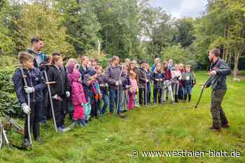 Junge Umweltschützer aus Paderborn pflegen „ihren“ Wald