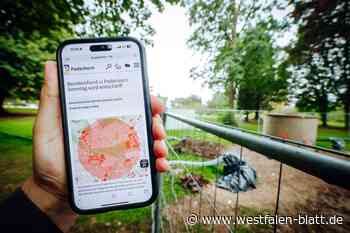 Bombenfund: So läuft die Evakuierung