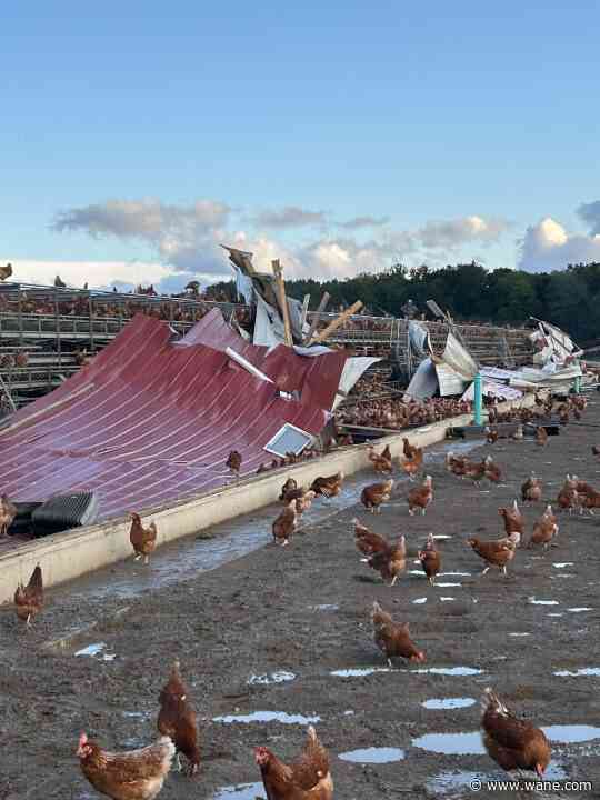 Community repairs storm-damaged houses, corrals chickens
