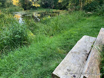 Der Bund fördert Klimaschutz in Blaustein