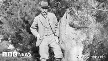 Protection for Neolithic site at Thomas Hardy home