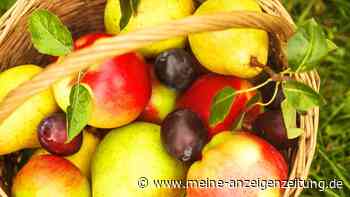 Powerfrüchte im Herbst: Vier Obstsorten sollten Sie jetzt essen