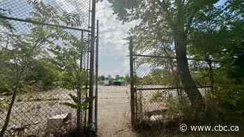 Hamilton's 1st outdoor shelter to be set up by December in 'massive' undertaking, councillor says