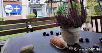 Messerattacke an Heiligenbeiler Straße in Burgdorf: Anwohner unter Schock