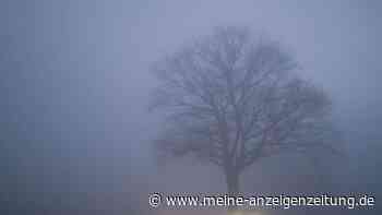 So fahren Sie sicherer bei Nebel