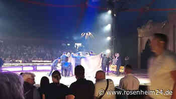 Polizei zu Unfall im Circus Krone in Burghausen: „Sehr gutes Bild vom Ablauf erhalten …“