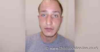 Man armed with hammer attacks police officers