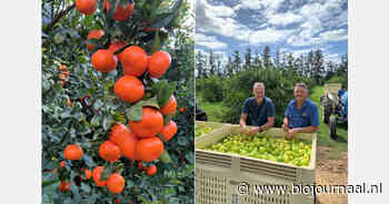 "Biologisch citrus is de uitdaging meer dan waard"