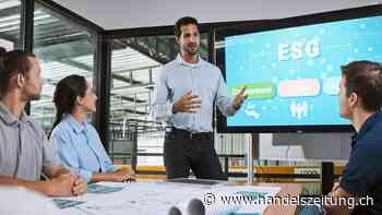 Auf dem Weg zur integrierten Berichterstattung