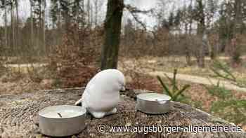 15-Jährige im Wiblinger Wald erwürgt: Diese Strafen werden für den Freund gefordert