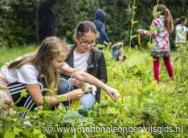 'Generatie van natuuranalfabeten dreigt van school te komen'