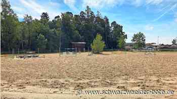 Neuer Aldi in Neubulach: Eine Lösung für den Reitverein