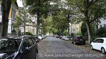 Braunschweig: Kahlschlag auf der Adolfstraße - alle Bäume weg