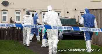 Hull man charged after fatal XL bully attack