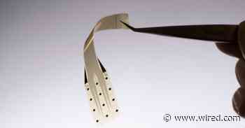 An Ultrathin Graphene Brain Implant Was Just Tested in a Person