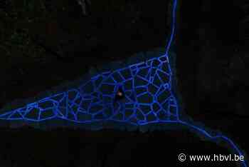 Kunstwerk Lichtsporen in Thor Genk vonkt voortaan tussen de bomen: “Een modern sprookje”