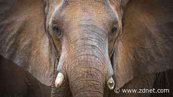 PostgreSQL 17 packs big performance and feature enhancements