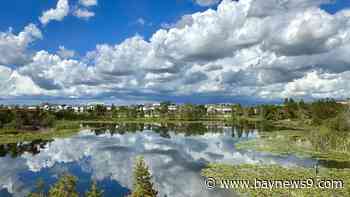 Improving conditions on Friday