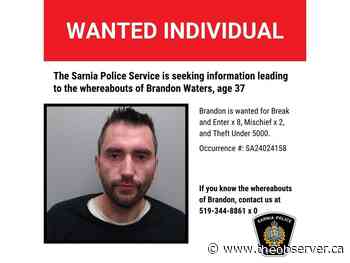 Wanted Sarnia man found hiding in attic kept in jail for now