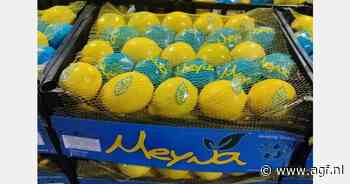 Late start van het Turkse citroenseizoen