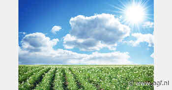 Belgapomnotering 2024-2025 voor Fontane en Challenger