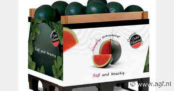 40% van de Dolce Passione watermeloenen wordt geëxporteerd