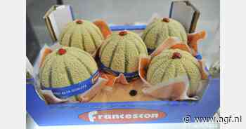 "Normale afzet Italiaanse meloenen"