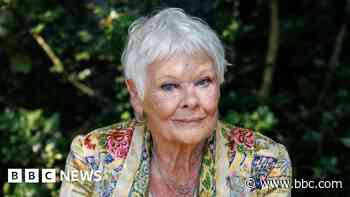 Dame Judi Dench and John Cena to voice Meta AI chatbot