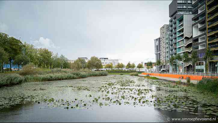 Lelystad - Lage bomen, bankjes en een veilige kruising: omwonenden delen wensen voor vernieuwd Zilverpark