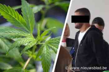 Politie betrapt vijf Albanezen met voor 800.000 euro aan cannabiskruid in loods: “Hij dacht dat je dat hier mocht doen”