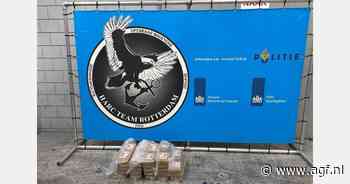 Douane vindt drugs in vier containers met onder andere bananen