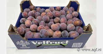 "Export van appelen en pruimen naar tien EU-landen en drie meer in het vizier"