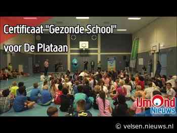 Certificaat “Gezonde School” voor De Plataan