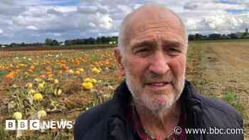 'Mr Grumpy' plans final Halloween at pumpkin patch