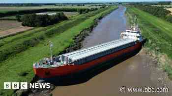 Cause of 'wedged' cargo ship revealed