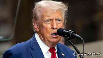 Trumps Wirtschaftsprogramm laut Wahlkampfreden