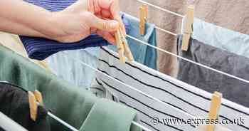 Ditch tumble dryers for ‘genius’ way to dry clothes ‘faster’ indoors so they ‘don’t stink’