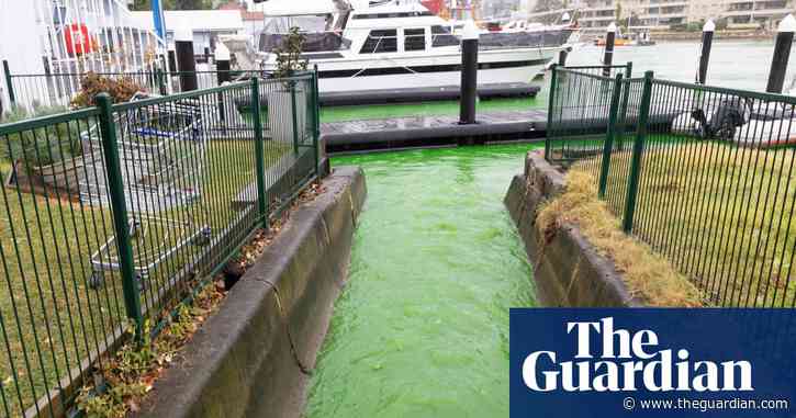 Sydney Harbour water still bright green day after dye leak – video