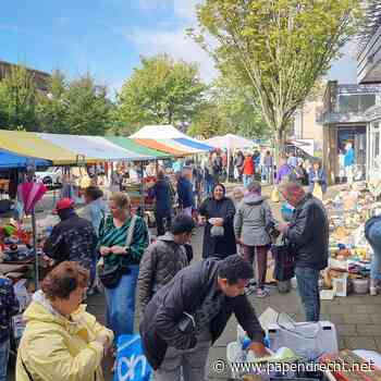 Rommelmarkt Excelsior levert ruim 5100 euro op