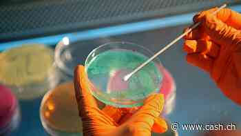 HSG sieht grosse Pharmaunternehmen in einer Innovationskrise