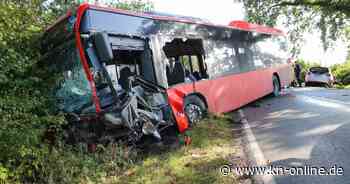 Autofahrerin stirbt nach Zusammenprall mit Linienbus in Klein Gladebrügge