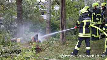 Glimmender Baum ruft Feuerwehr Waldkraiburg auf den Plan