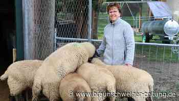 Blauzungenkrankheit im Kreis Peine: So geht‘s Schafhaltern